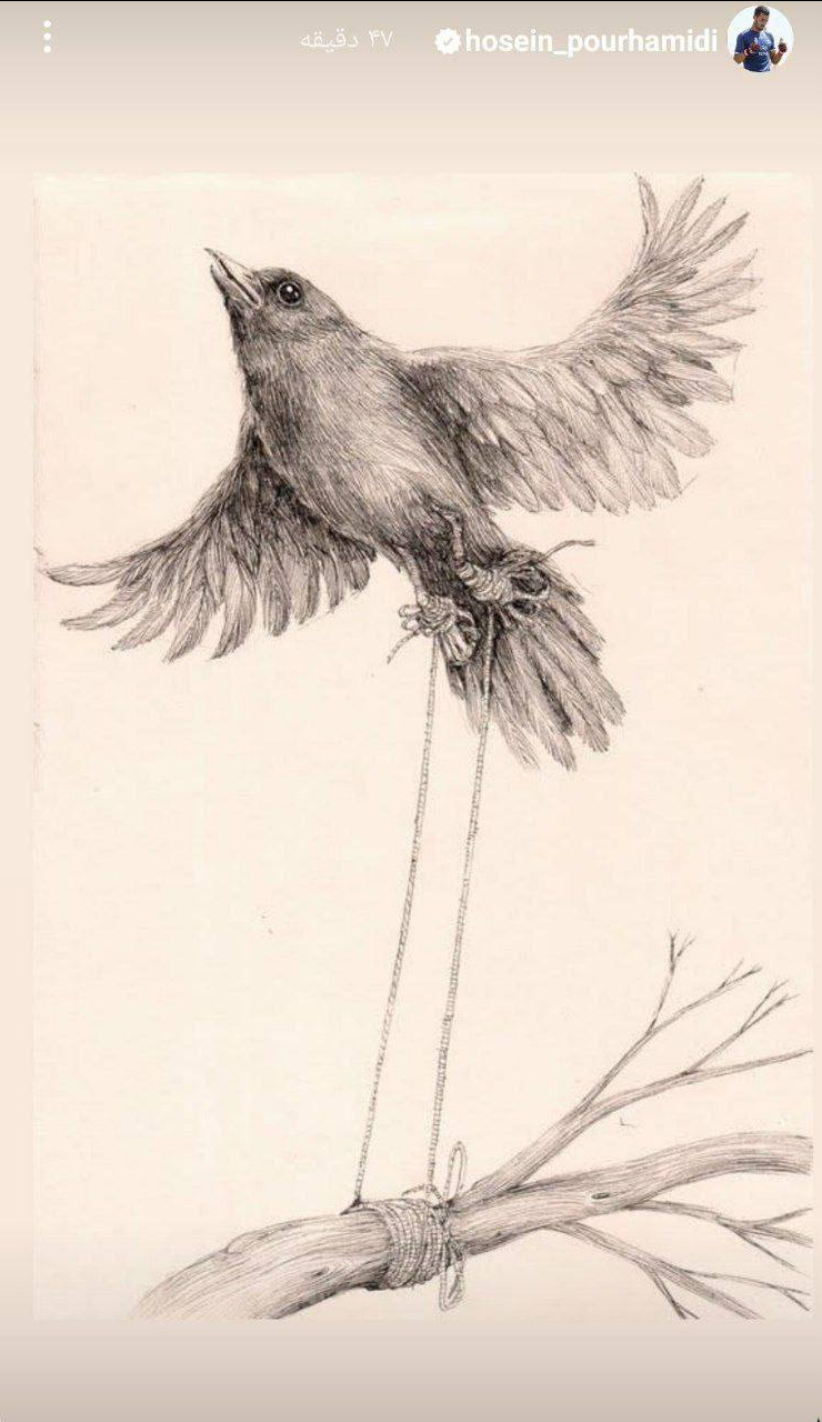 عکس| استوری معنادار عقاب تراکتور!