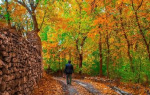 جاهای دیدنی خوانسار: لیست ۱۵ جاذبه تاریخی و طبیعی خوانسار+‌ عکس