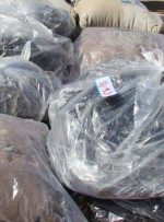 ۴۵۰ کیلوگرم تریاک در البرز کشف و ۵ قاچاقچی دستگیر شدند