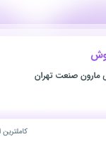 استخدام کارشناس فروش در صنعتی بازرگانی مارون صنعت تهران در تهران