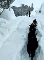 بارش یک متری برف در تالش + عکس