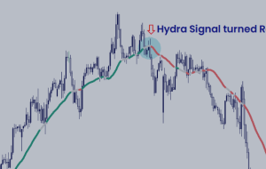 اینگونه است که با Hydra Trend Rider حرکت های بزرگ را می گیرید! – تجزیه و تحلیل و پیش بینی – 12 نوامبر 2024