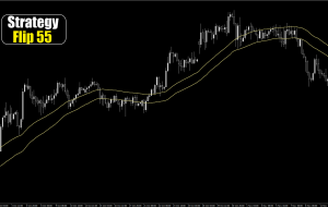 پیش بینی قیمت EUR/JPY در 15 نوامبر 2024