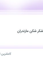 استخدام مدیر فروش در مجتمع غذایی شکر شکن مازندران در ۸ استان