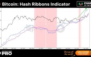 شاخص روبان هش بیت کوین: ماینرها با رسیدن نرخ هش به اوج های جدید خوش بینی تزلزل ناپذیری نشان می دهند.