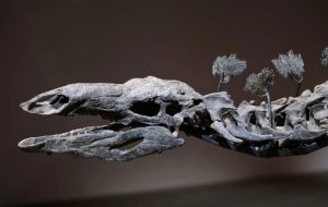 دایناسور ۴۴ میلیون دلاری چه شد؟ دایناسور ۴۴ میلیون دلاری چه شد؟