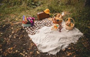 چک لیست کامل برای پیک نیک شاد و بدون دردسر