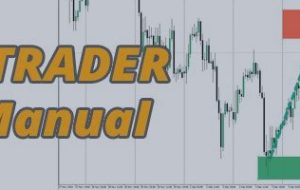 Zone Trader EA Manual – Analytics & Forecasts – 10 December 2024