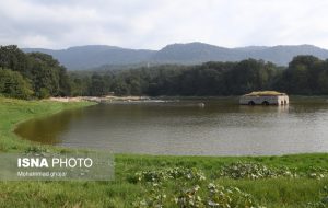 جان تنها باغ جهانی مازندران در خطر است جان تنها باغ جهانی مازندران در خطر است