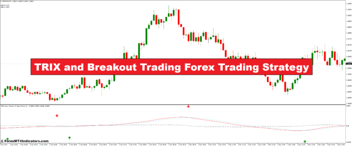 TRIX و Breakout Trading استراتژی معاملاتی فارکس