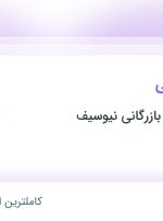 استخدام حسابدار مالی در گروه تولیدی و بازرگانی نیوسیف در تهران