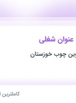 استخدام ۲۳ عنوان شغلی در گروه صنعتی نوین چوب خوزستان در خوزستان