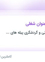 استخدام ۴ عنوان شغلی در خدمات مسافرتی و گردشگری پیله های عصر پرواز در تهران