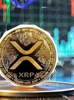 ریپل، ستاره درخشان بازار / رشد هیجان انگیز XRP در یک روز!