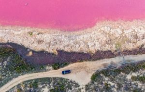 از دریاچه‌ای به رنگ آدامس صورتی تا جزیره کدو زرد خالدار