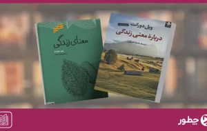 معرفی کتاب درباره معنی زندگی؛ کتابی برای اندیشیدن