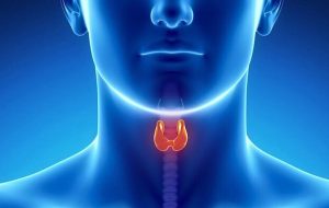 زنان بیشتر در معرض ابتلا به سرطان تیروئید هستند یا مردان؟ زنان بیشتر در معرض ابتلا به سرطان تیروئید هستند یا مردان؟