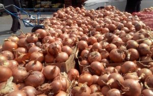 پیاز هم گران شد + سند پیاز هم گران شد + سند