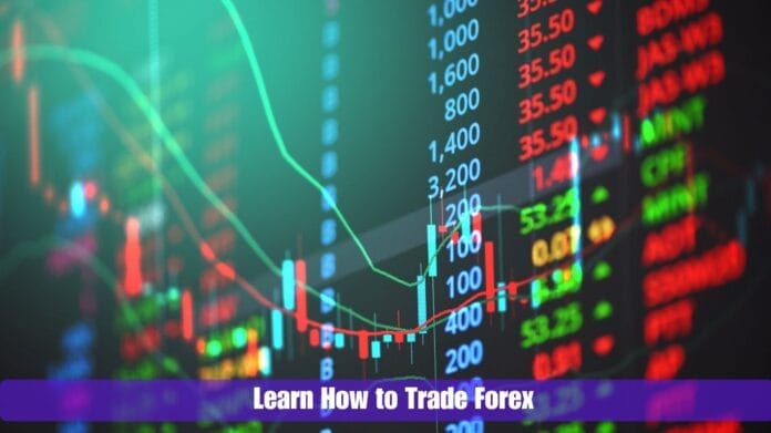 Learn How to Trade Forex