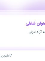 استخدام حسابدار و کارشناس فروش در هانا نیسا منطقه آزاد انزلی در تهران