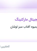 استخدام کارشناس دیجیتال مارکتینگ در گیلان