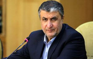 برای تامین مالی پروژه‌های تولید برق هسته‌ای با بورس تهران مذاکره کرده‌ایم