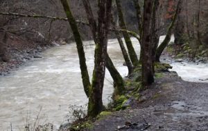 ویدیو/ از دل کوه تا آغوش دریا؛ رودهای گیلان در تلاطم حیات