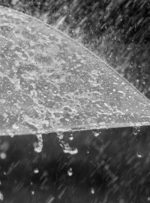 سامانه‌ی جدید بارشی در هرمزگان/ هواشناسی ۲۹ بهمن