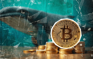 انباشت میلیاردی نهنگ‌های بیت‌کوین در کف ۸۶ هزار دلار! + پیش بینی قیمت ها