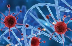 سرطان کبد چیست و چه علائمی دارد؟