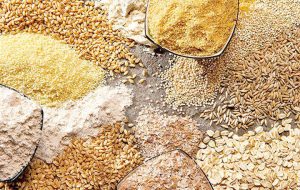 احتمال توقف واردات نهاده ذرت از روسیه/ هشدار کلامی در خصوص احتمال بروز بحران در بازار نهادههای دامی احتمال توقف واردات نهاده ذرت از روسیه/ هشدار کلامی در خصوص احتمال بروز بحران در بازار نهادههای دامی