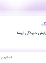 استخدام بازرس پایپینگ در بازرسی فنی و پایش خوردگی ایرسا در خوزستان