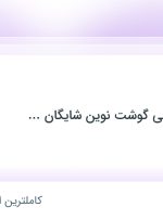 استخدام حسابدار در فروشگاه بازرگانی گوشت نوین شایگان خراسان در خراسان رضوی