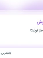 استخدام کارشناس فروش در صنایع چوب و فلز تولیکا در خراسان رضوی