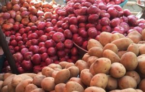 اطلاعیه مهم/ میادین و بازارهای میوه و تره‌بار امروز باز است؟