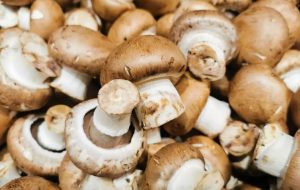 تاثیر شگفت‌انگیز قارچ‌ها بر مقابله با آنفلونزای شدید