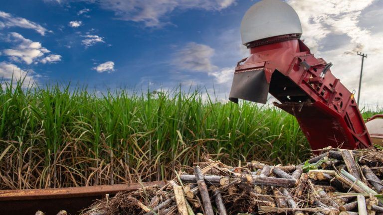 دوباره کشاورزی را بزرگ کنید: Tether برای اکثریت سهام Adecoagro فشار می آورد