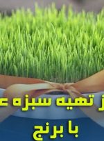 کاشت سبزه متفاوت و جذاب / مراحل کاشت سبزه عید با برنج