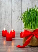 ایده جذاب برای کاشت سبزه عید + نکات کاربردی