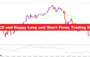 BB MACD and Guppy Long and Short Forex Trading Strategy