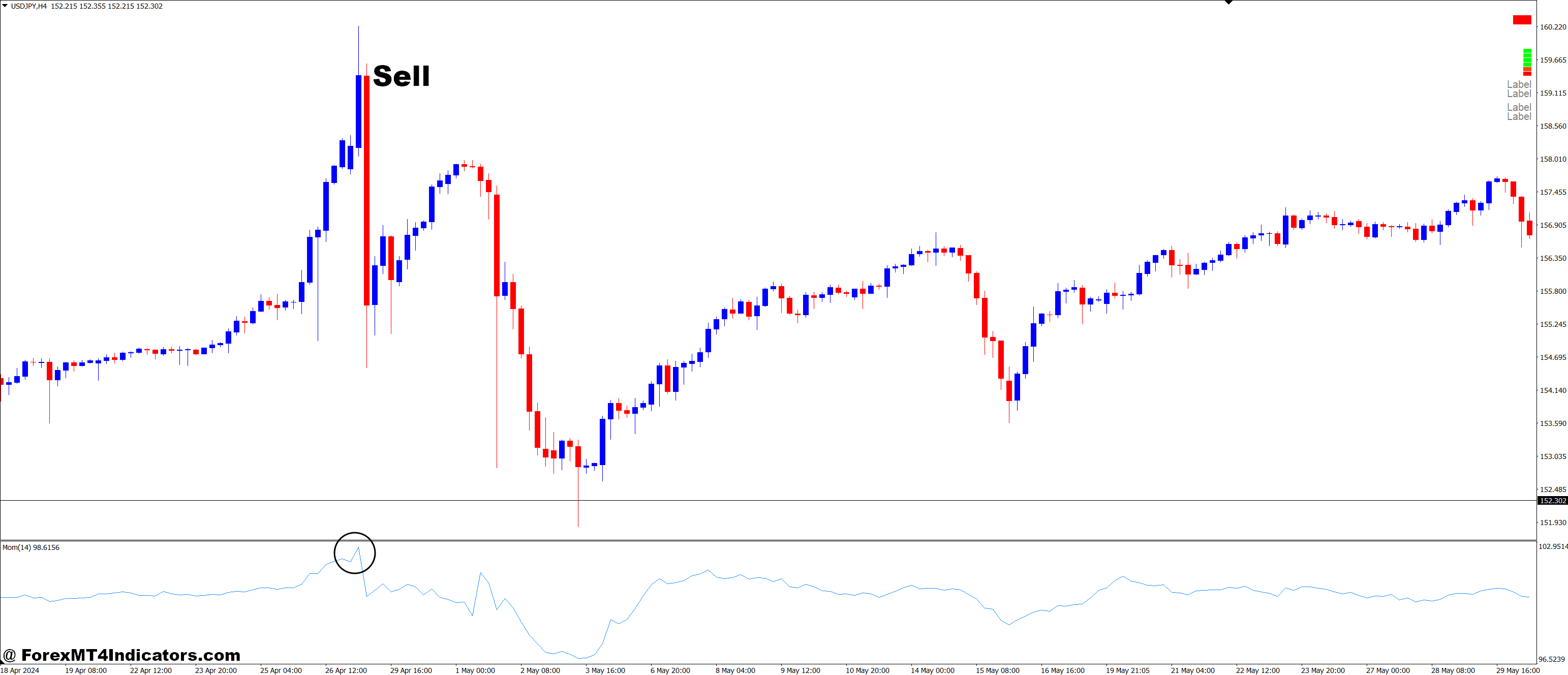 How to Trade with Momentum and Meta Neural Forex Trading Strategy - Sell Entry