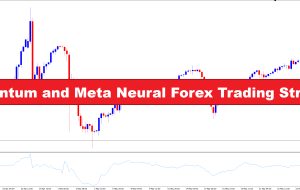 Momentum and Meta Neural Forex Trading Strategy