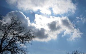 هواشناسی کردستان ۲۴ اسفند/ احتمال وقوع بهمن وجود دارد؟