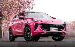 پک جذاب همراه شاسی بلند لاماری! پک جذاب همراه شاسی بلند لاماری!