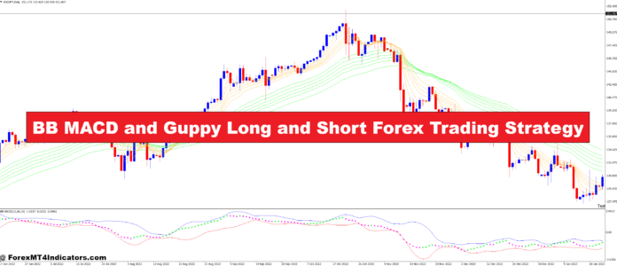 BB MACD and Guppy Long and Short Forex Trading Strategy