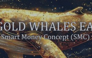 Gold Whales EA – ریتم بازار با مفهوم پول هوشمند – تجزیه و تحلیل و پیش بینی – 3 مارس 2025