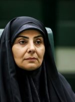 باید مجوز ایرلاین‌هایی که پاسخگو نیستند باطل شود-راهبرد معاصر