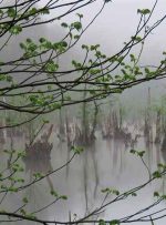 راهنمای سفر یک روزه به دریاچه ارواح