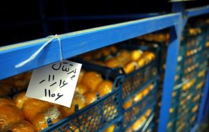 ۱۶ هزار تن میوه و ۱۲۰۰ تن خرما ذخیره شد-راهبرد معاصر