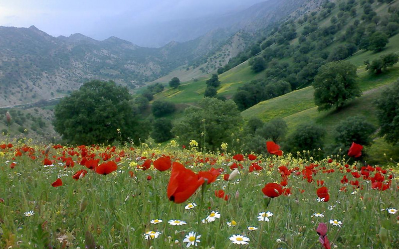 ایلام در بهار